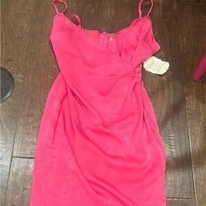 Altar'd State Pink Dress